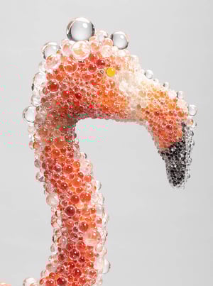PLAY! MUSEUM × 国立科学博物館が初のコラボ展開催　標本や作品を通して発見する動物のふしぎ