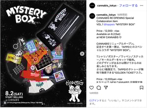 ʥӥܞ˥`롡TAPPEIˤӛƥࡸMYSTERY BOXk