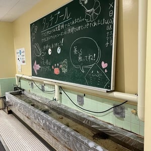 小学校を改装、高知の「むろと廃校水族館」　学校にあった設備を活用したユニークな展示空間