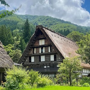 冬だけじゃない「白川郷」の魅力　自然から食べ歩きまで