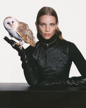 ͥ뤬ݥåץåץ٥ȡɥ` `_ߤء å塹ͥå쥹؜