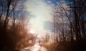 д Todd Hidoչ_ߡꥫ⥳ߥ˥ƥڂȤǱࡰӰF