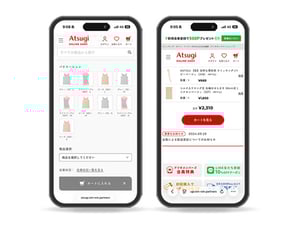 ���ĥ��Υ���饤�󥹥ȥ���ȫ��ˢ�¡��������Ƥ�ͽӵ㏊��