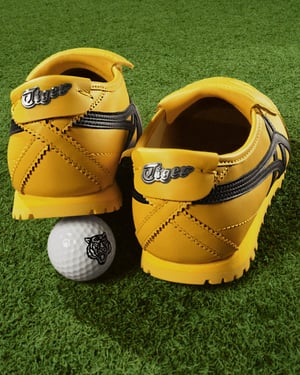 ���˥ĥ��������`���֥��ɳ��Υ���ե���`����k�ӡ���MEXICO 66�����٩`����