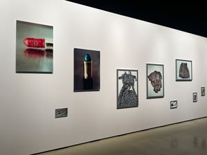 “日本女性写真家の冒険”を巡る展覧会が渋谷ヒカリエホールで開催　石内都やヒロミックスらが参加