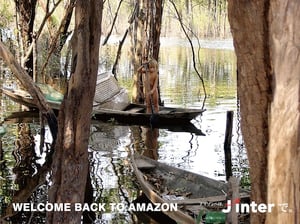 アマゾンを五感で体験「project AMAZON」青山で開催