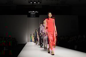 pierre cardin