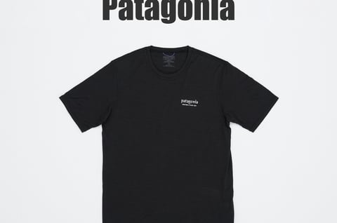 パタゴニアのメリノウールTシャツ