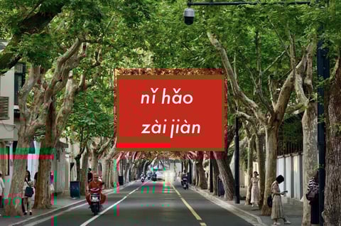 プラタナスの街路樹