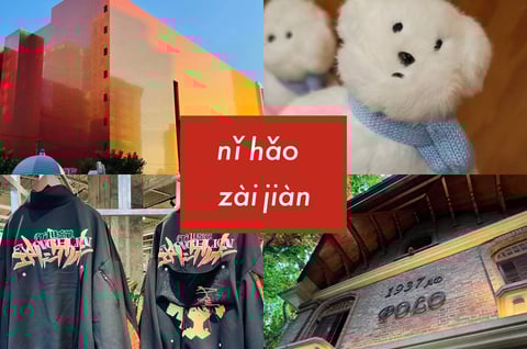 プラタナスの街路樹