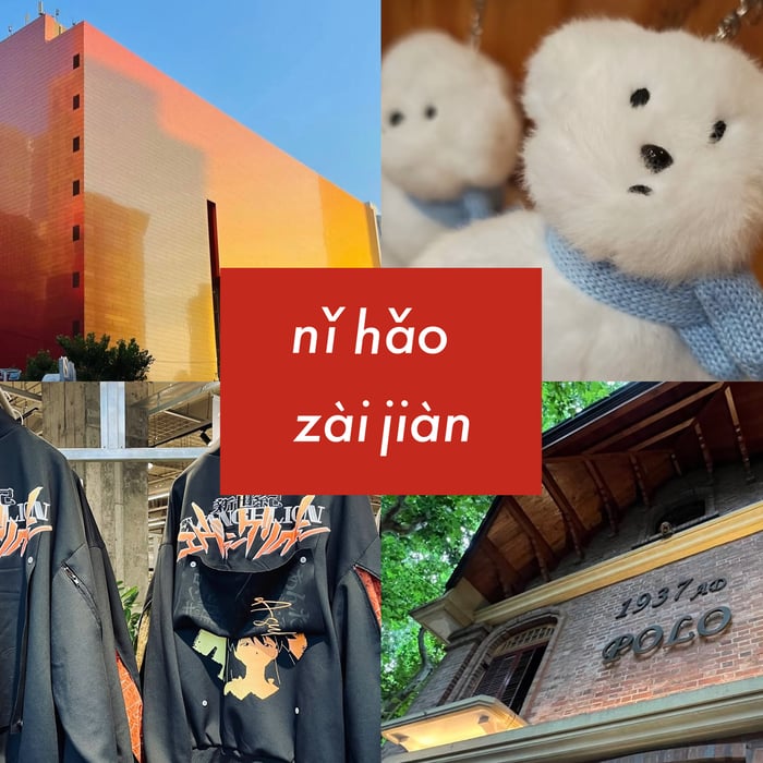 プラタナスの街路樹